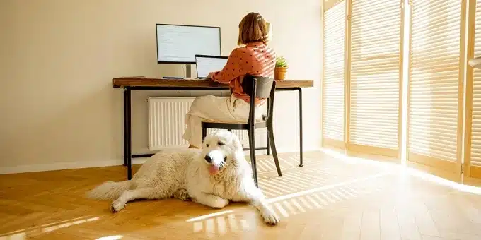 fiatal nő világos dolgozószobában egy kutyával